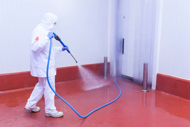 Best Playground Equipment Cleaning  in Melbourne, FL